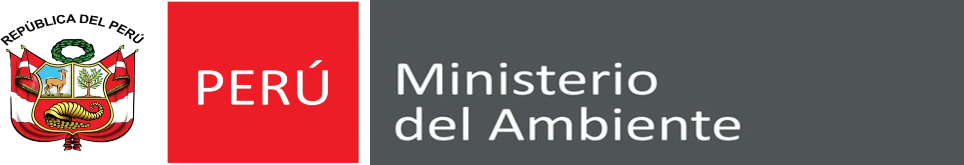 Cliente 8